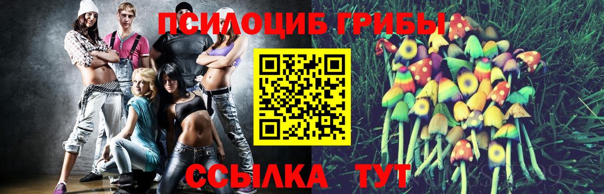 Псилоцибиновые грибы Psilocybine cubensis  Вход с VPN  Феодосия  Псилоцибиновые грибы мухоморы 